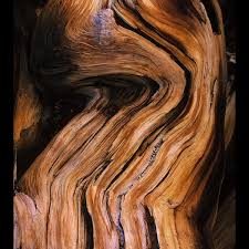 ONNO - BOIS D'AMBRE 100 ML