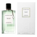 VAN CLEEF & ARPELS - THÉ AMARA EDP 75 ML