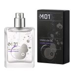 ESCENTRIC MOLECULES 01 - 100ml