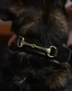 Hermines Story  Connection - Horsebit Hundehalsbånd - Dark Brown - L - Bilde 3